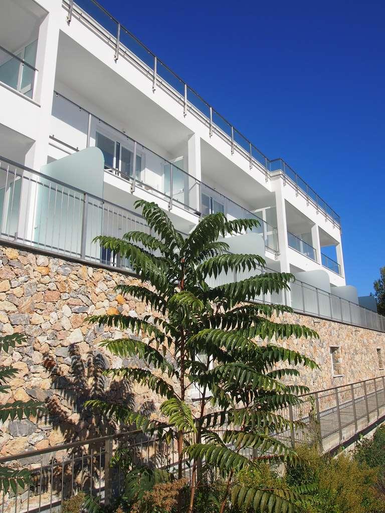 Best Western Hotel Acqua Novella Spotorno Buitenkant foto